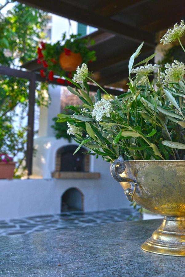 Ktima Dimitrios Villa Naxos City Exterior foto