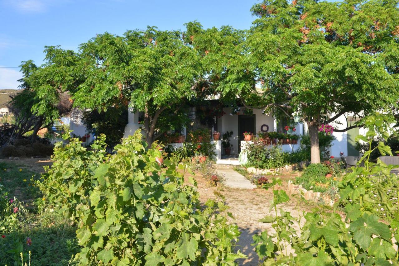 Ktima Dimitrios Villa Naxos City Exterior foto